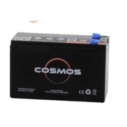 cosmos