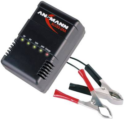Ansmann ALCS 2-24A Lead Acid lader