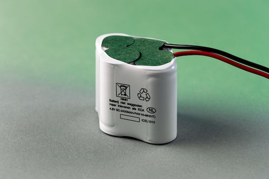 Noodverlichting NiMh accu 4,8V-2,0Ah 2/SBS2420 11190017 met van Lien aansluiting